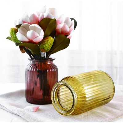 Brief tabletop glass vase hydroponic multicolour transparent dried flowers home furnishings decoration