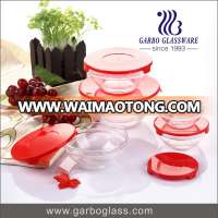 5pcs glass bowl set Promotion Glass bowl with lids salad bowl set